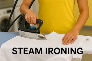 Steam Iron